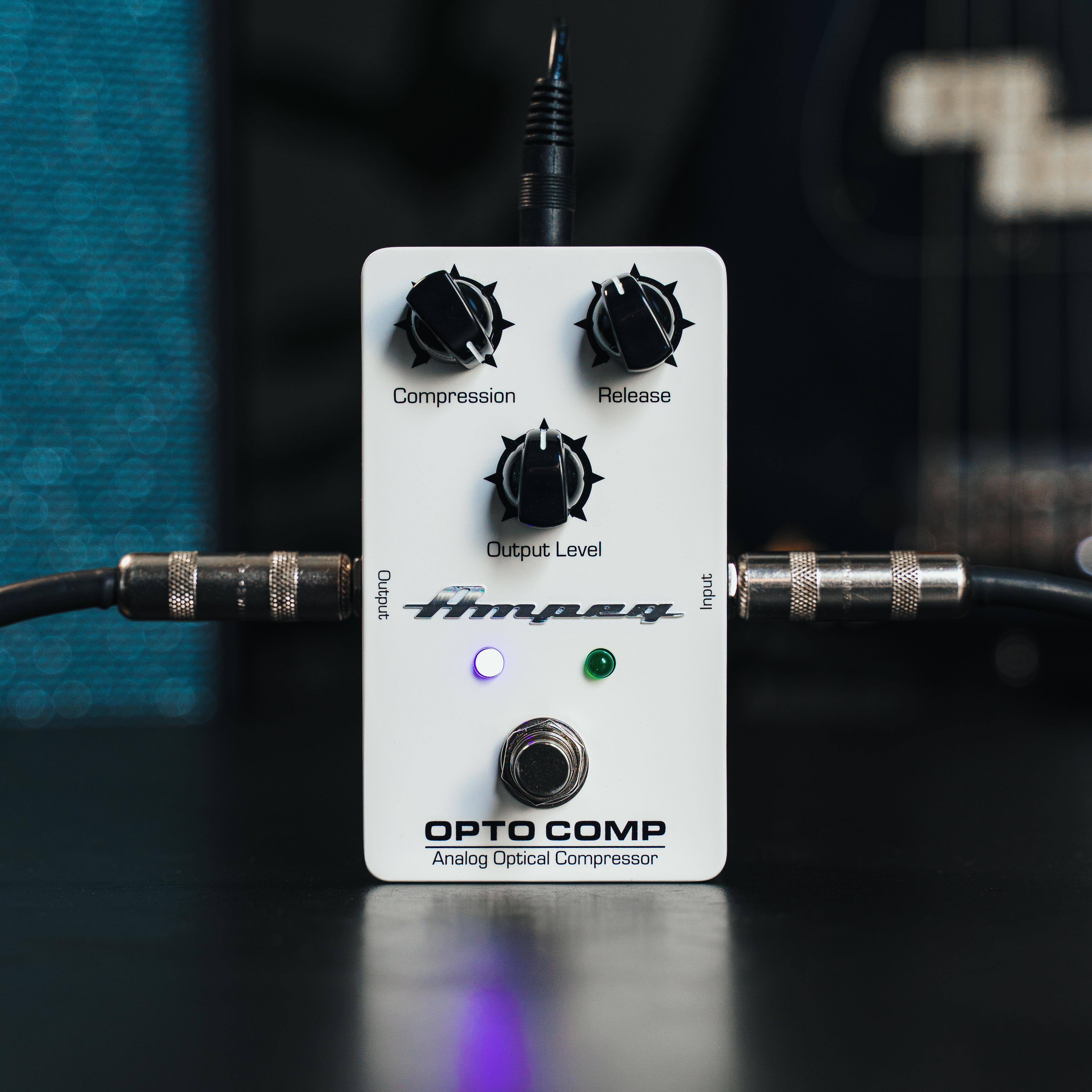 Ampeg Japan on X: 