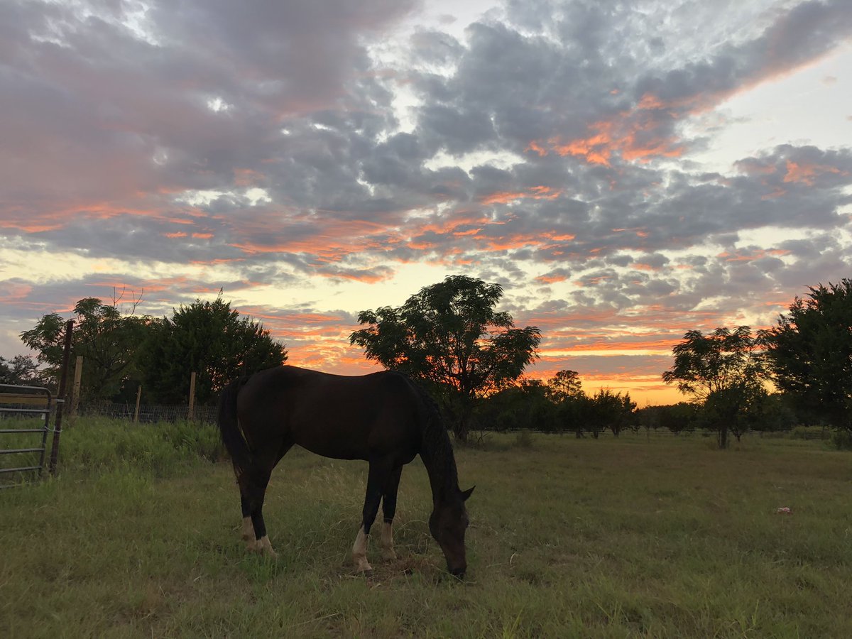 El...Sometimes Mike (@hubriscorpus) on Twitter photo 