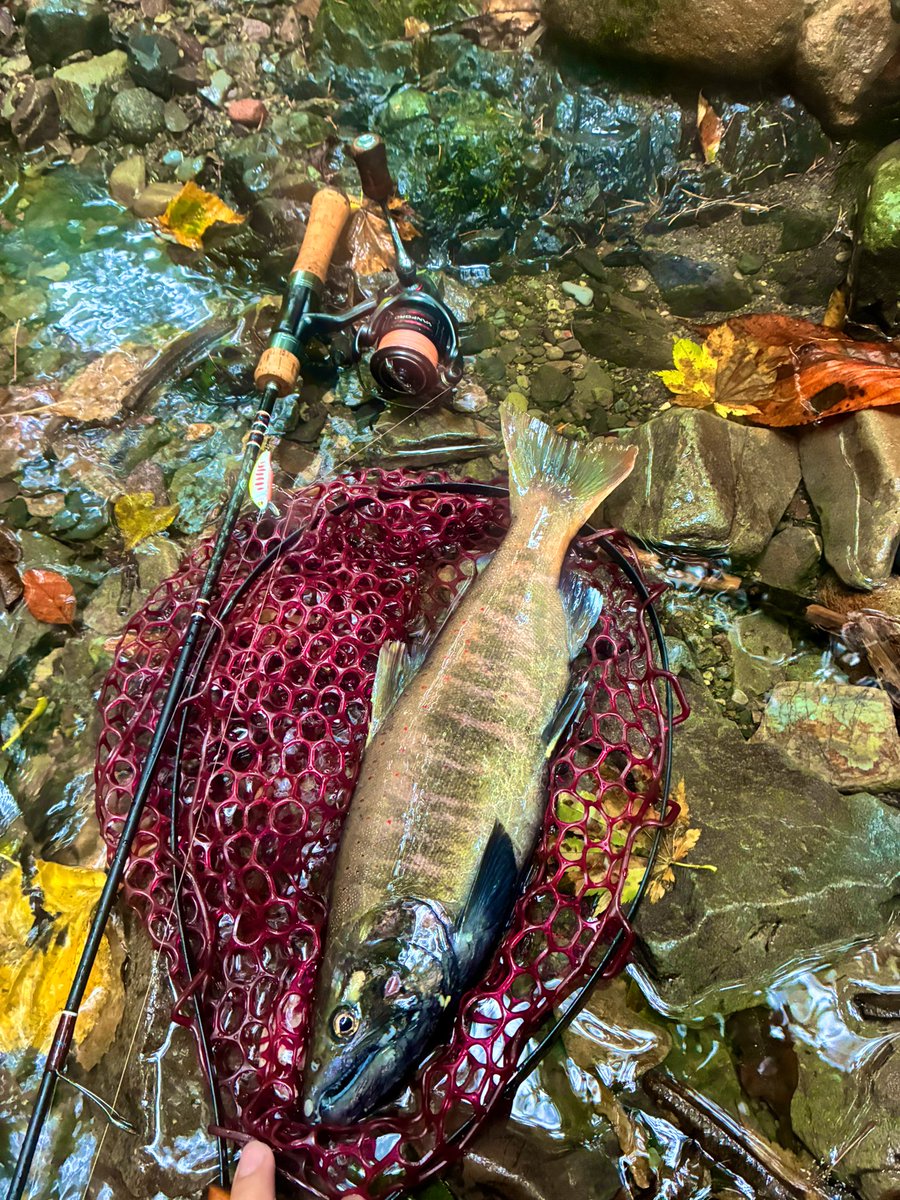札付き✨巨大な赤鬼♥️ 【公式通販】