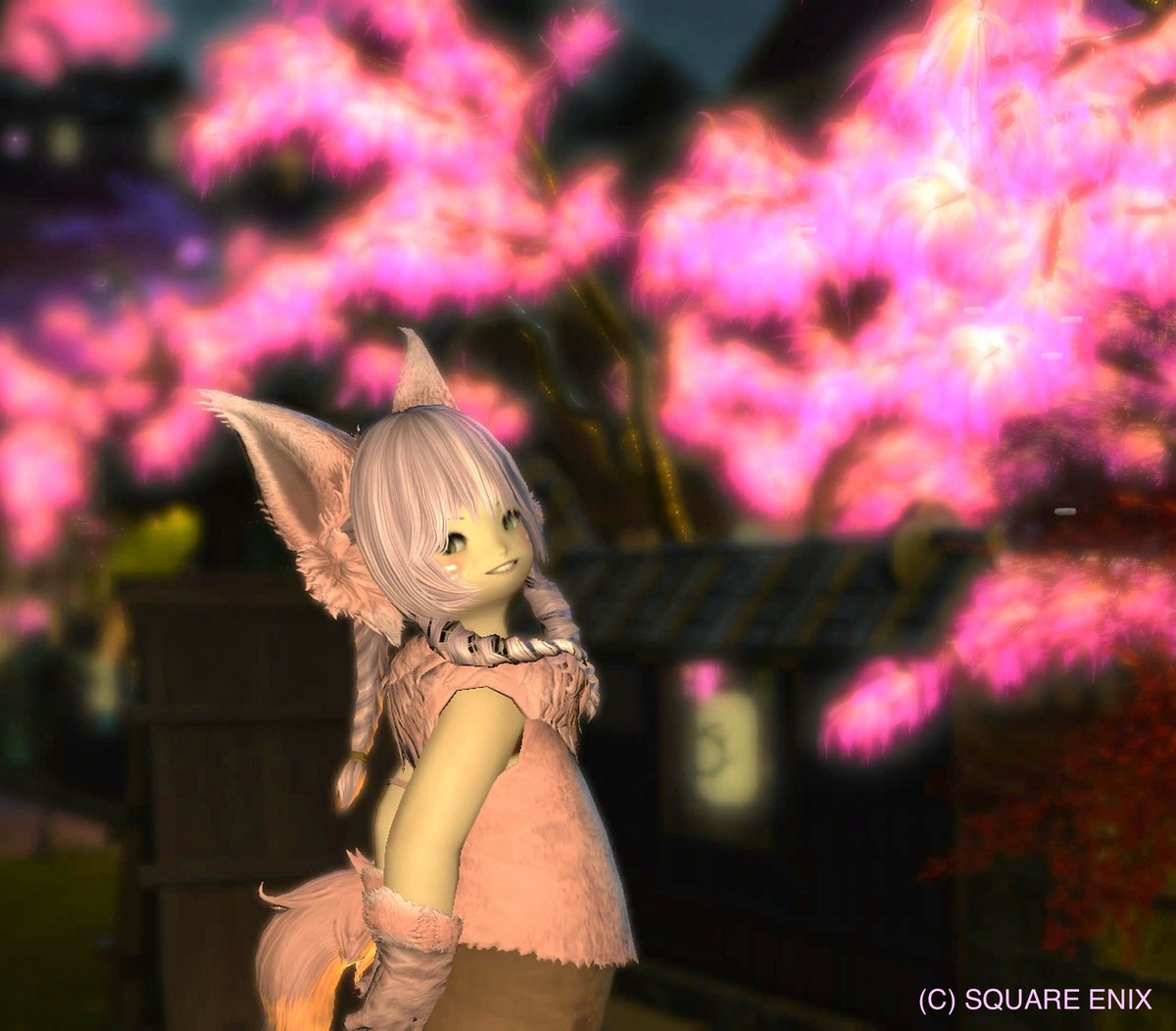 そうだ
ヨウジン桜
行こう
#ヨウジン桜 #FF14