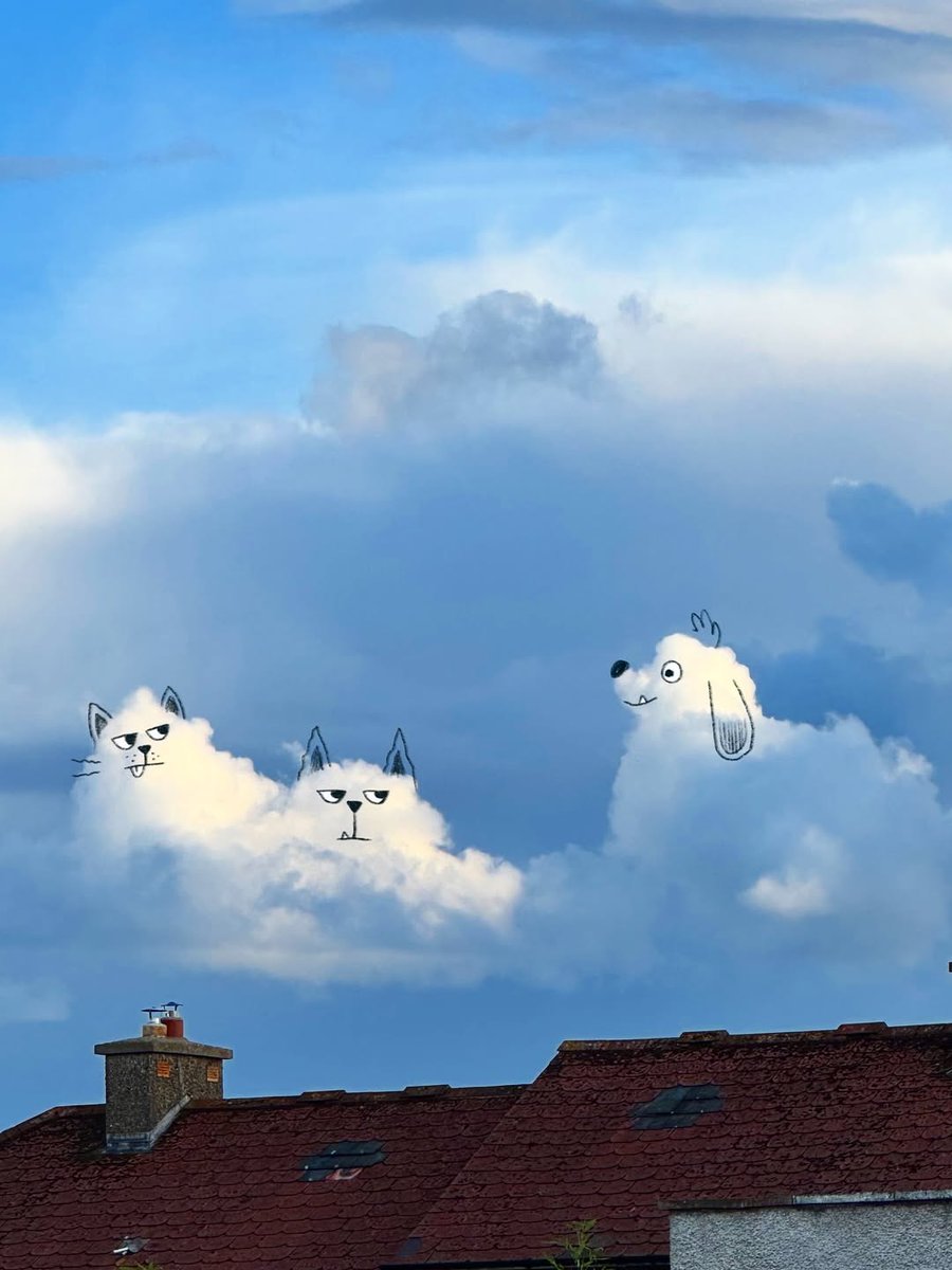 cloudifyart's tweet image. Cats look suspicious, Dog thinks it’s playtime