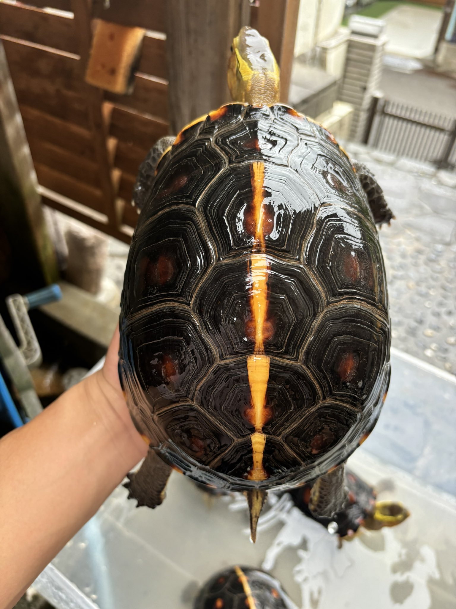 荻田正宏 (@marukyu580221) / X