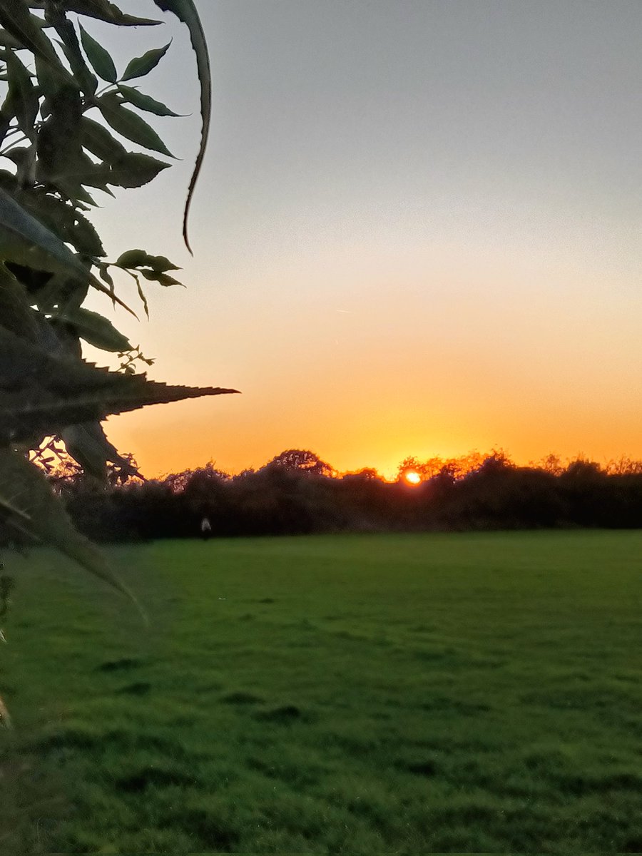 Ester Albert (@ester40and) on Twitter photo 