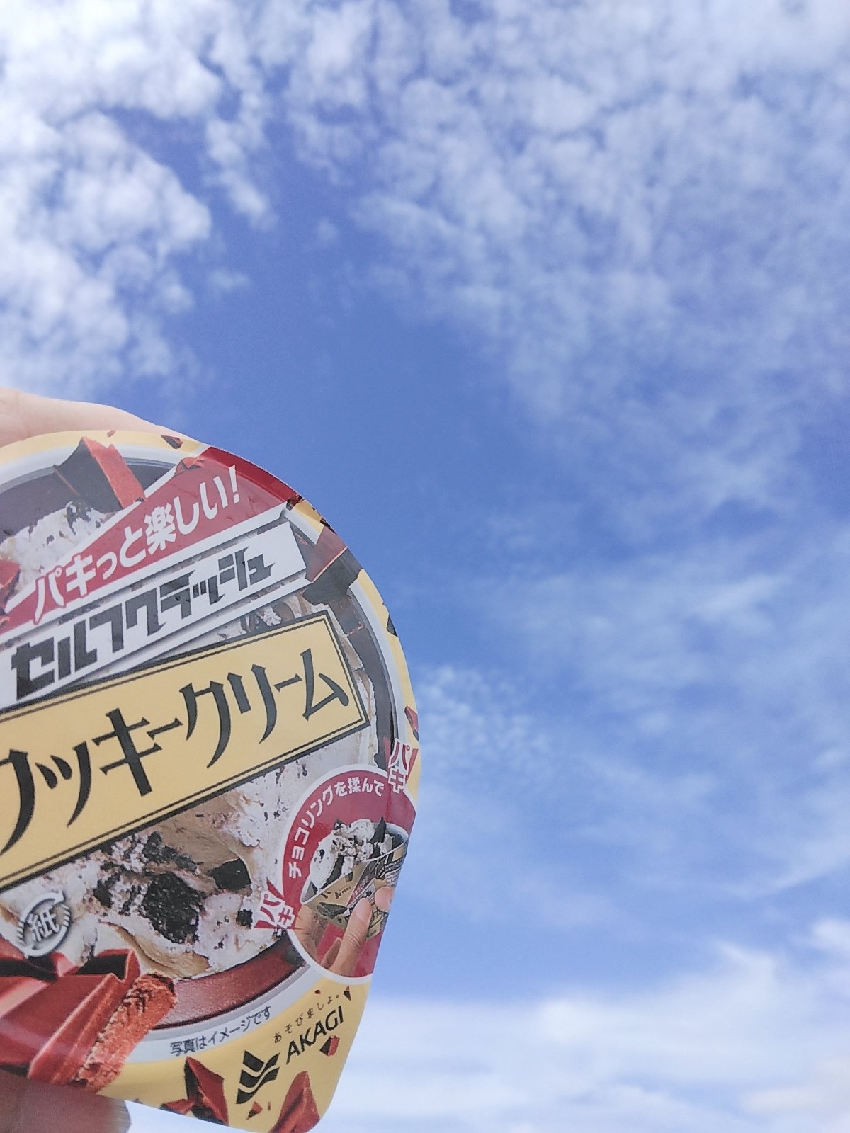 ゴローニャぱいせん 池谷パイセン (@S13_SpeedStars) / X