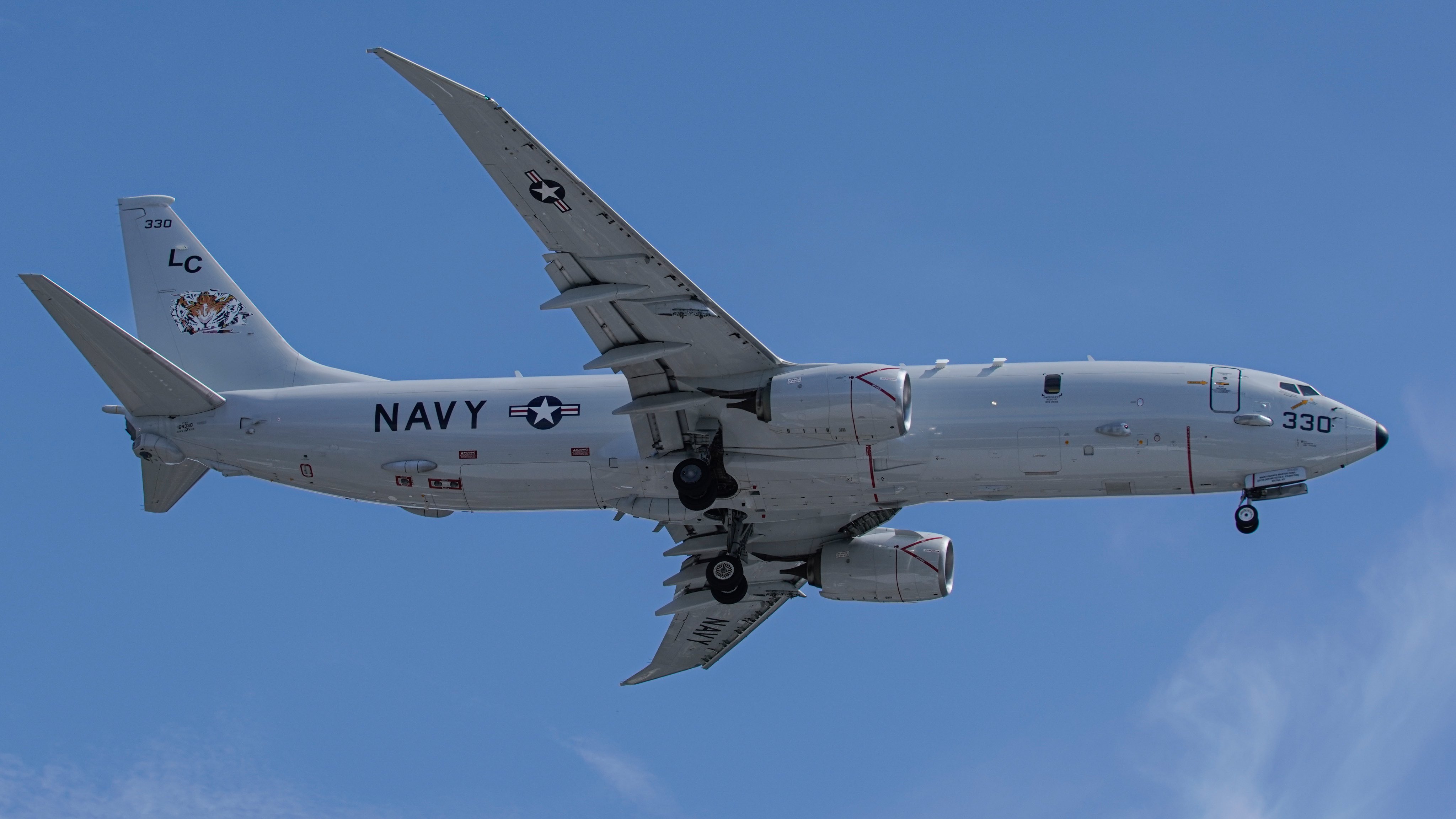 Tiger Turtle Dragon Phoenix 接口【✈️@ptdemos_bot