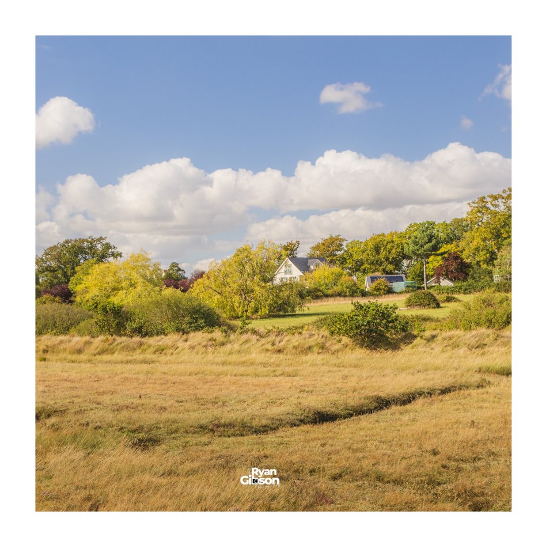 Ryan2gibson's tweet image. BURNHAM ON CROUCH

A lovely walk around Burnham 😊 with some great light. Decided to look more inland for images rather than boats and water this time.

#burnhamoncrouch #Essex #coastline #vineyard #grapes