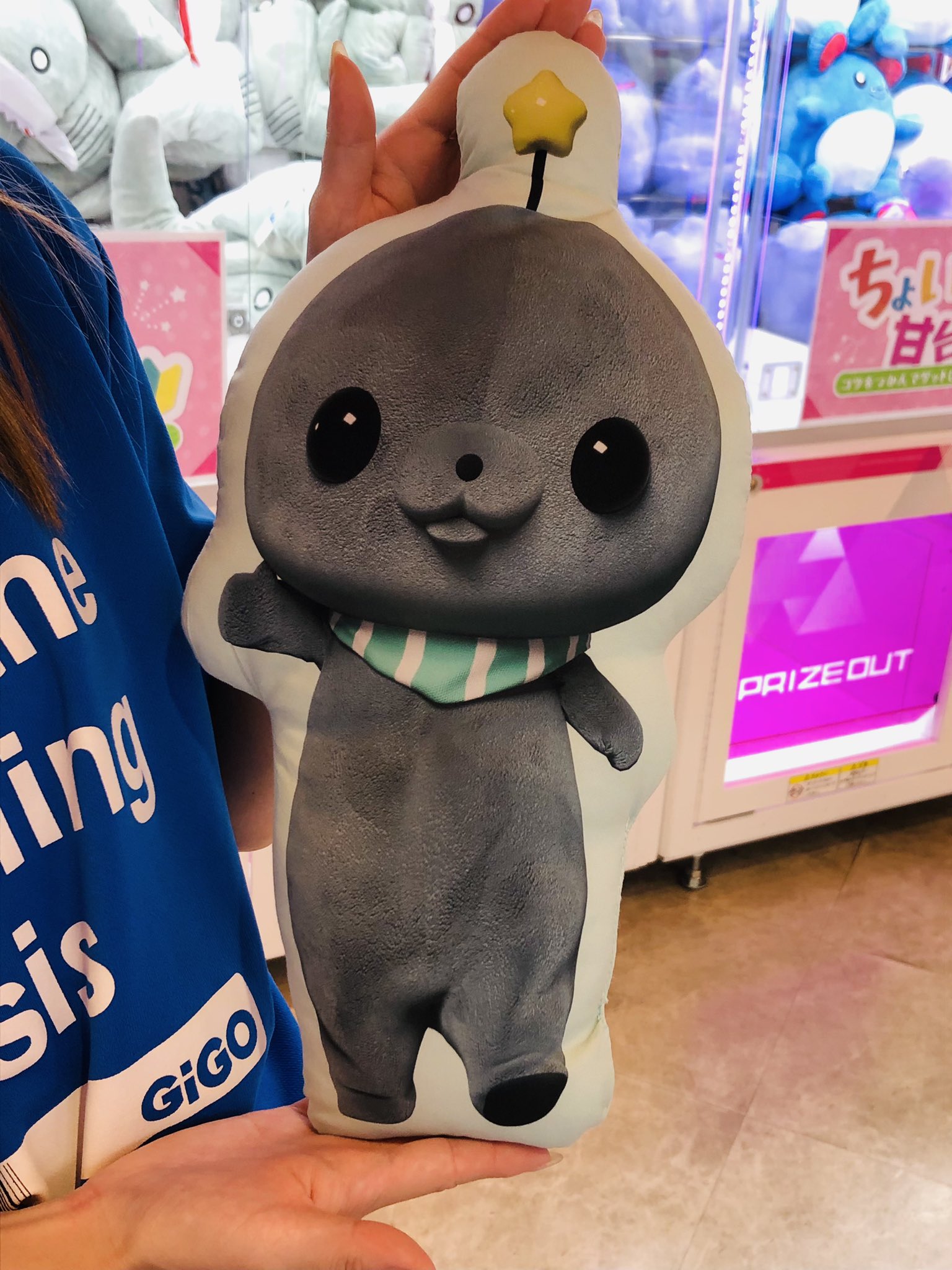 教育番組 ダイカットクッション ～GiGO限定～ 教育番組 ダイカットクッション ～GiGO限定～ | オンライン
