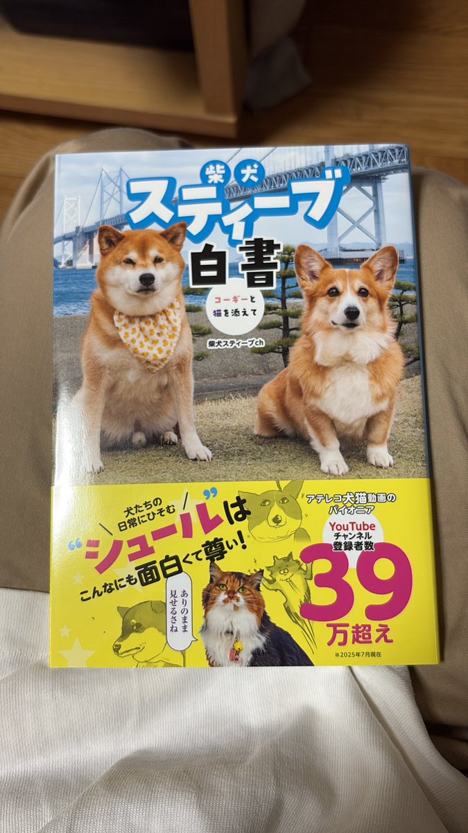 Shi-Ba【シーバ】＋犬びより (@ShiBa2929) / X