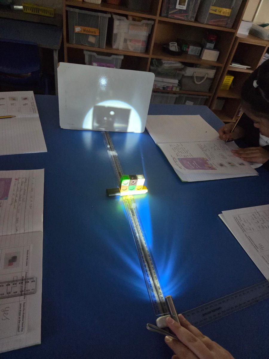 Brompton-Westbrook Science tweet media