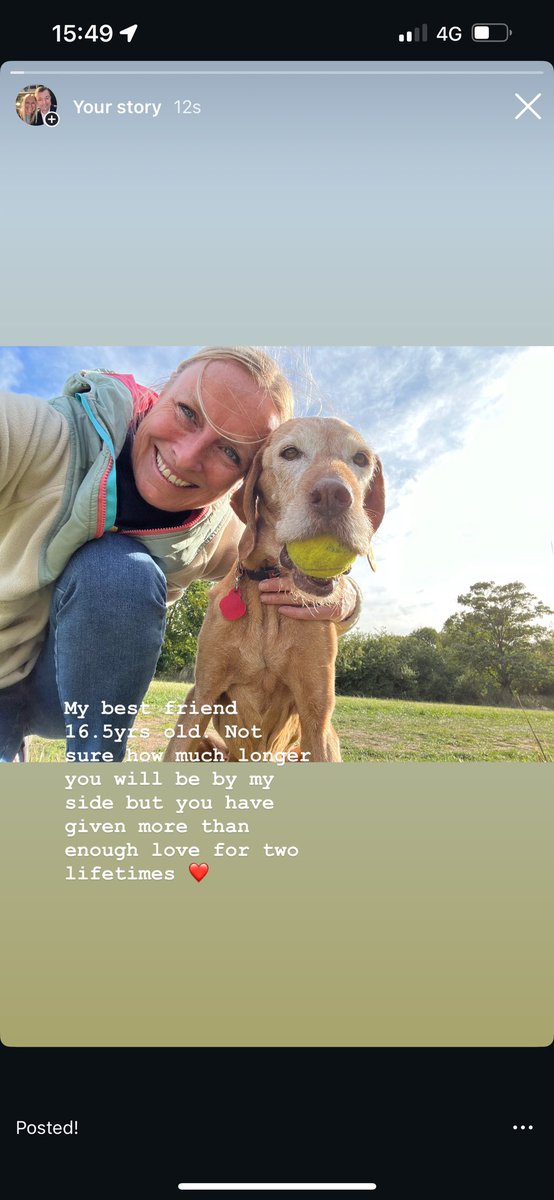 Jules Louise (@jueloubox) on Twitter photo 