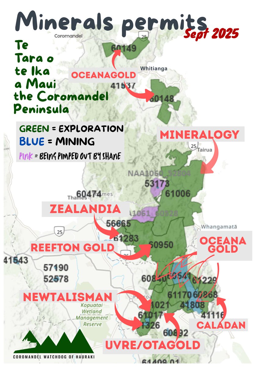 Coromandel Watchdog of Hauraki tweet media