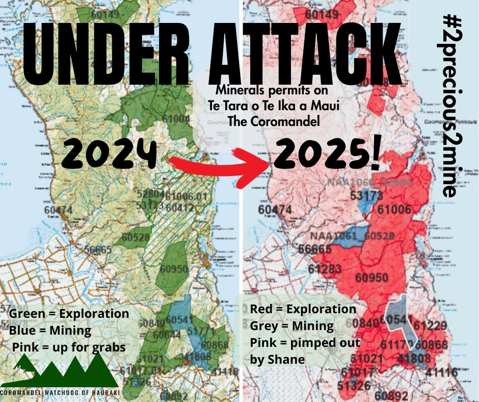 Coromandel Watchdog of Hauraki tweet media