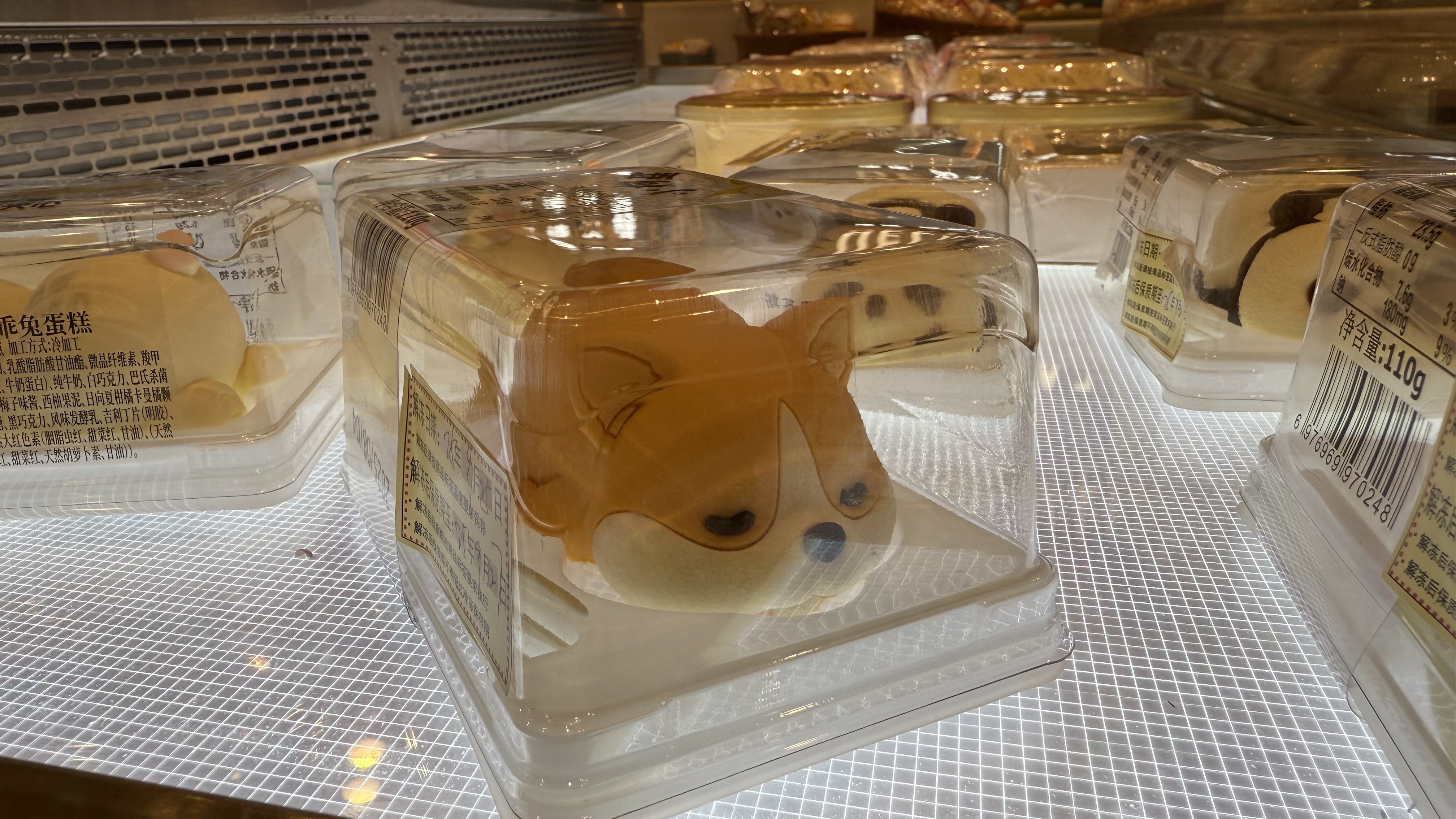 はくいきしろい 抽選当選品【キャンバスアート(本人サイン入り