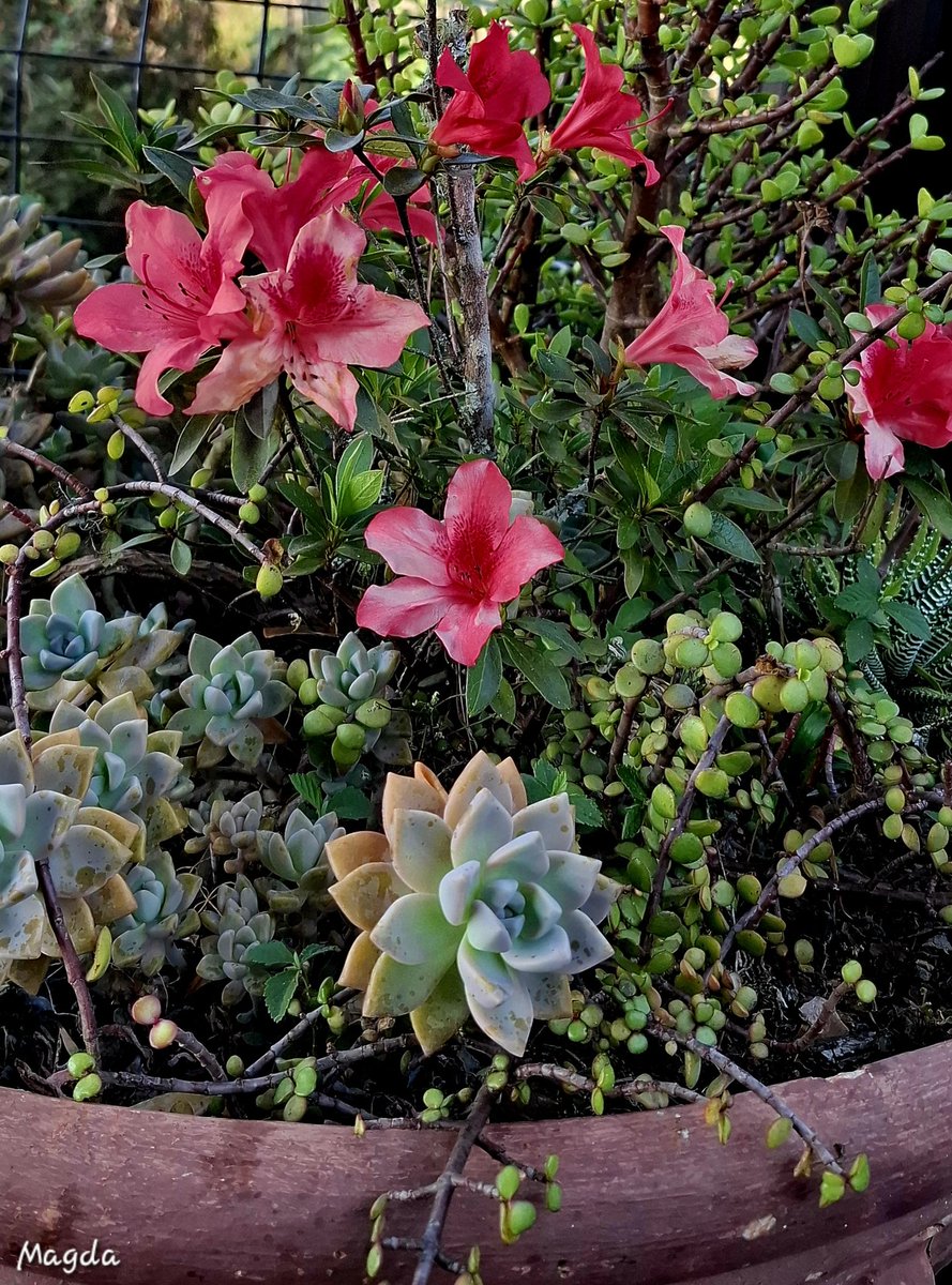 Loof God wanneer jy gelukkig is. Soek God wanneer jy swaarkry. Aanbid God wanneer jy stil word.
Vertrou God wanneer jy hartseer en bekommerd is en dank God elke oomblik van die dag vir alles wat jy het. 
Goeiemôre, seënwense🙏🏻