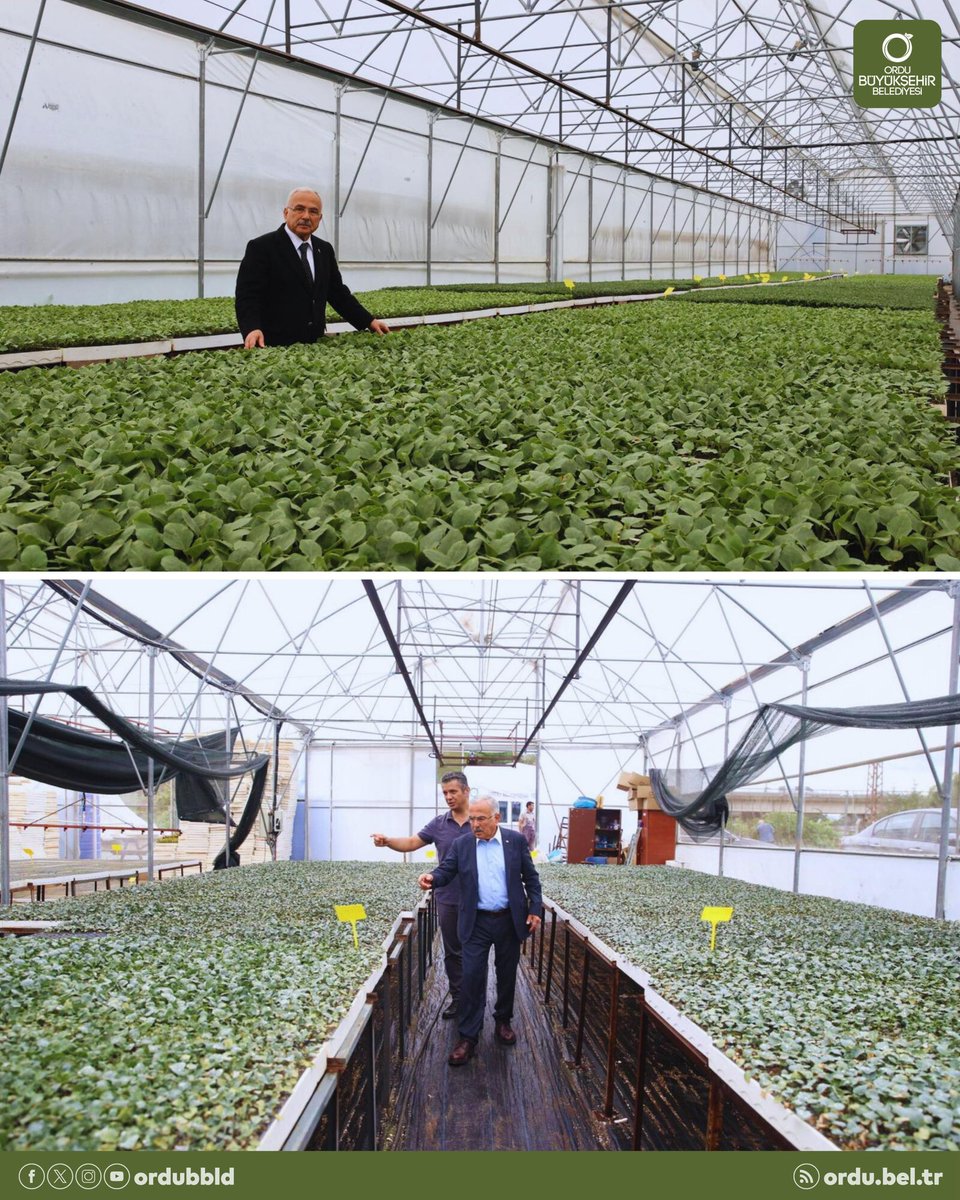 Üretimi teşvik ediyor, vatandaşlarımızı kendi sebzesini yetiştirmeye yönlendiriyoruz.

6 yılda kendi tesislerimizde tohumdan ürettiğimiz 4 milyon 580 bin sebze fidesini 50 binin üzerinde hemşehrimize ulaştırdık.

Başkanımız Dr. Mehmet Hilmi Güler’in öncülüğünde klasik