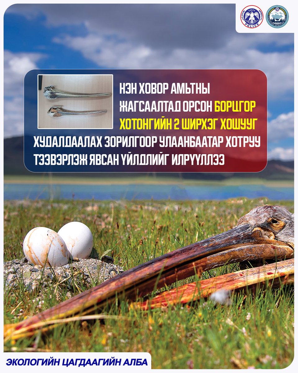 Экологийн цагдаагийн алба tweet media
