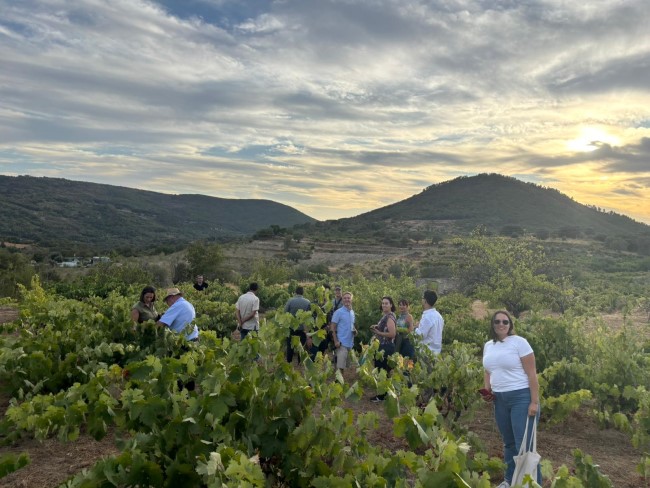 Las Rutas del Vino de las Pequeñas D.O.’s <a href="/DOGranCanaria/">Vinos de Gran Canaria</a>  y <a href="/DOSalamanca/">DO Sierra Salamanca</a> , aúnan esfuerzos para encontrar sinergias en su apuesta por el enoturismo