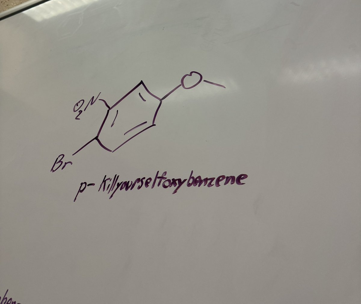 xtMona's tweet photo. how the semesters going so far https://t.co/lgWGeWzed3