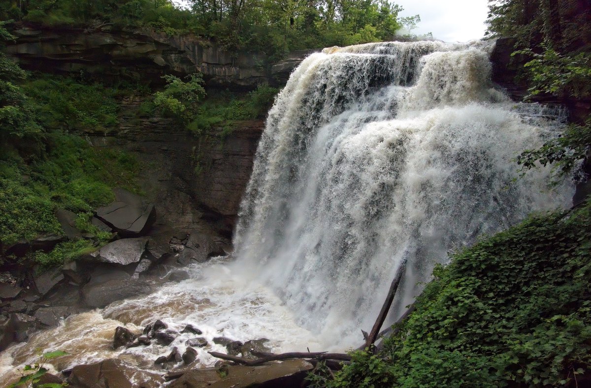 john kovach tweet media