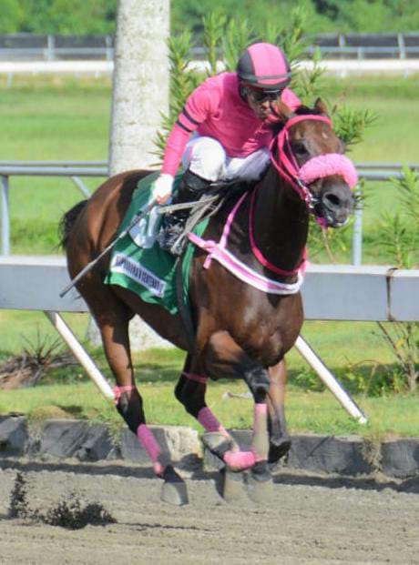 HipódromoVCentenario (@hvcrd) on Twitter photo José Villlalobos ganó en 2 carreras este miércoles en nuestro <a href="/HVCRD/">HipódromoVCentenario</a>: con Princesa Ain Hoa (5), en la 3era. carrera; y con Bon Vivant (2), en la 6ta. Suma 29 triunfos, 6to. en la lista de los jinetes más ganadores en el 2025, la cual encabeza Carlos de León (69). José Villlalobos ganó en 2 carreras este miércoles en nuestro <a href="/HVCRD/">HipódromoVCentenario</a>: con Princesa Ain Hoa (5), en la 3era. carrera; y con Bon Vivant (2), en la 6ta. Suma 29 triunfos, 6to. en la lista de los jinetes más ganadores en el 2025, la cual encabeza Carlos de León (69).
