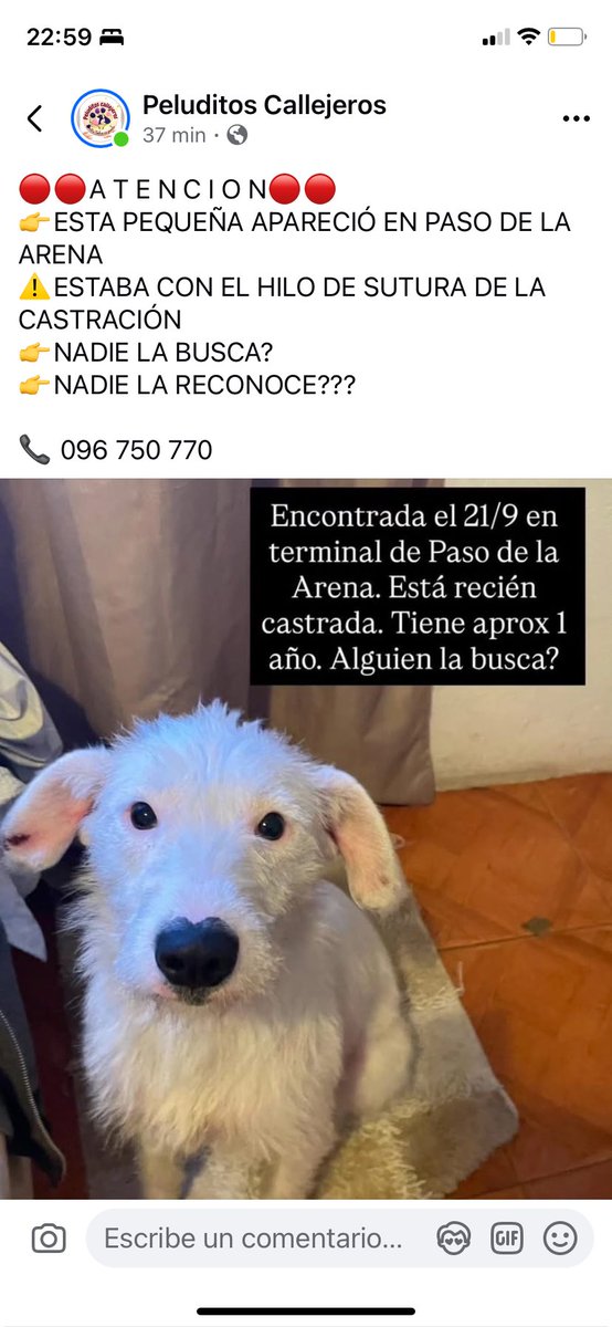 Adriana (@adriana43587622) on Twitter photo 