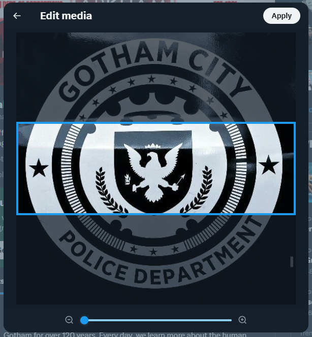 Elizabeth Arkham Asylum for the Criminally Insane tweet media