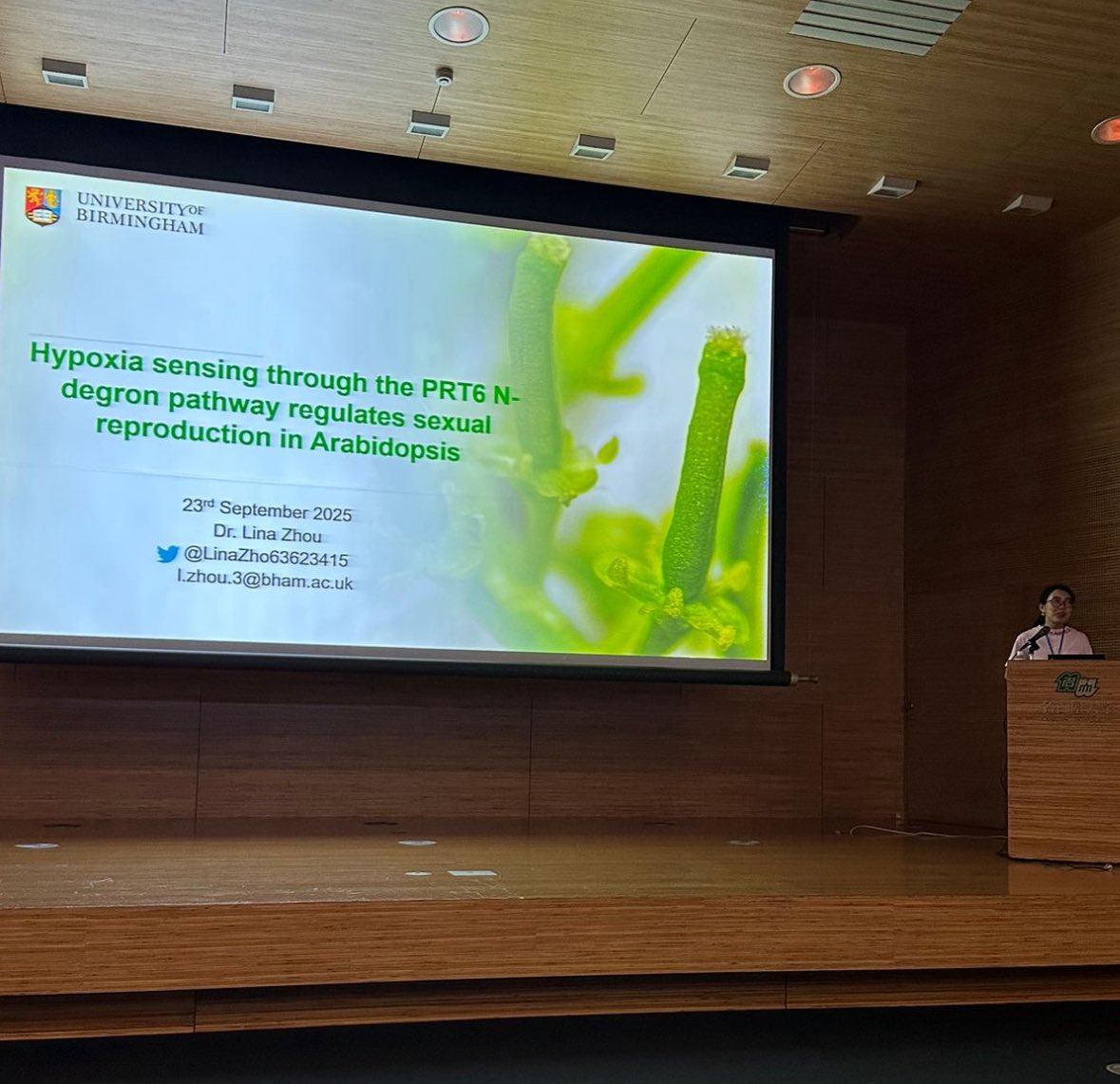 Dan Gibbs tweet media