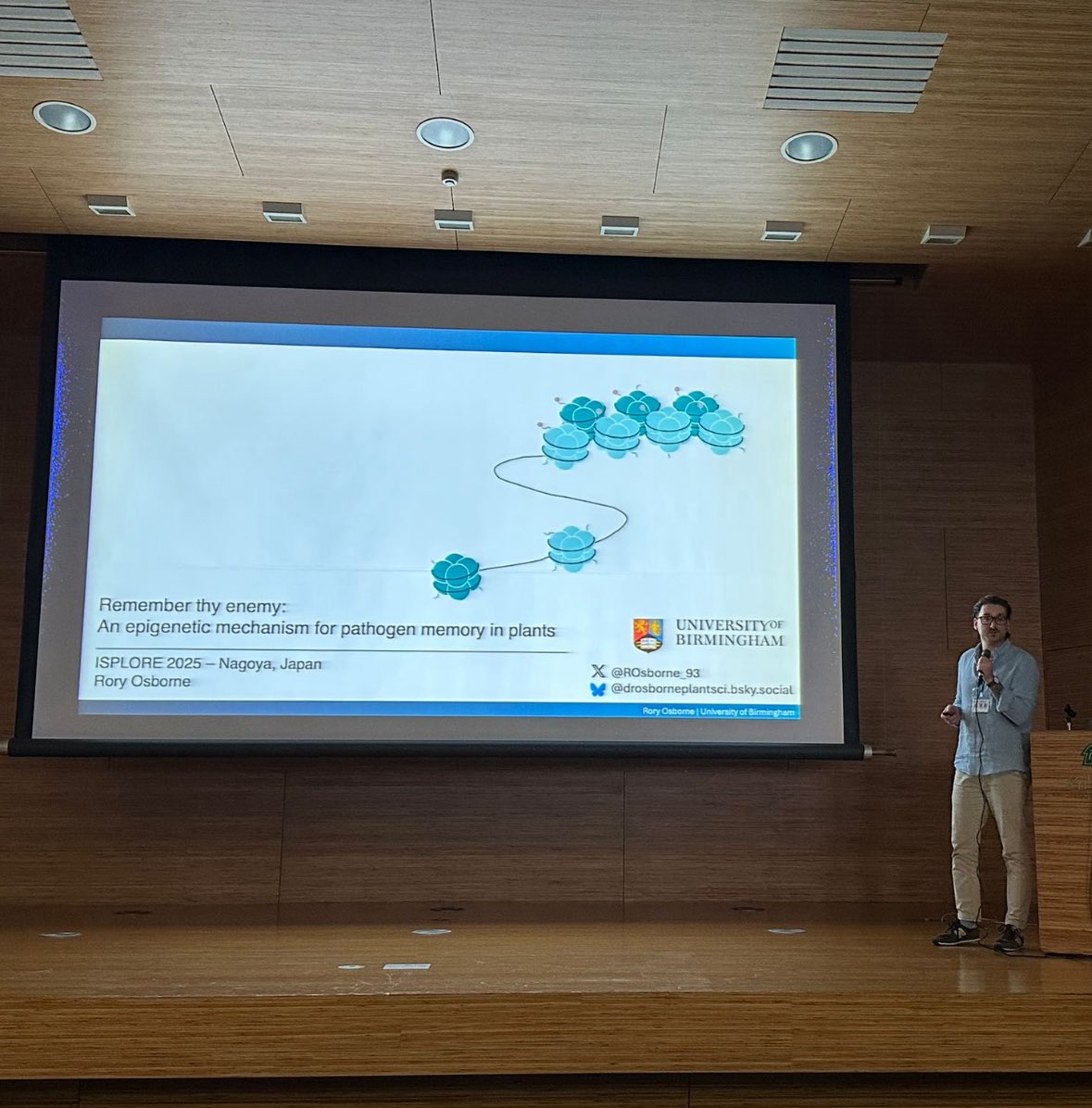 Dan Gibbs tweet media