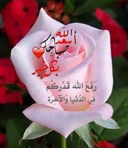 صلوا على حبيب الله