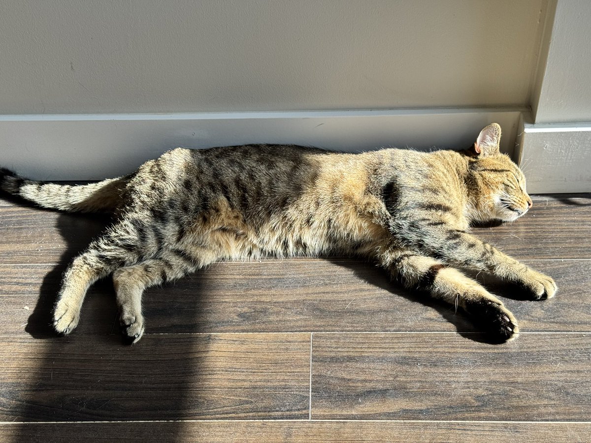 Spoiler for tomorrow’s devstream…
Jiro makes a cameo!