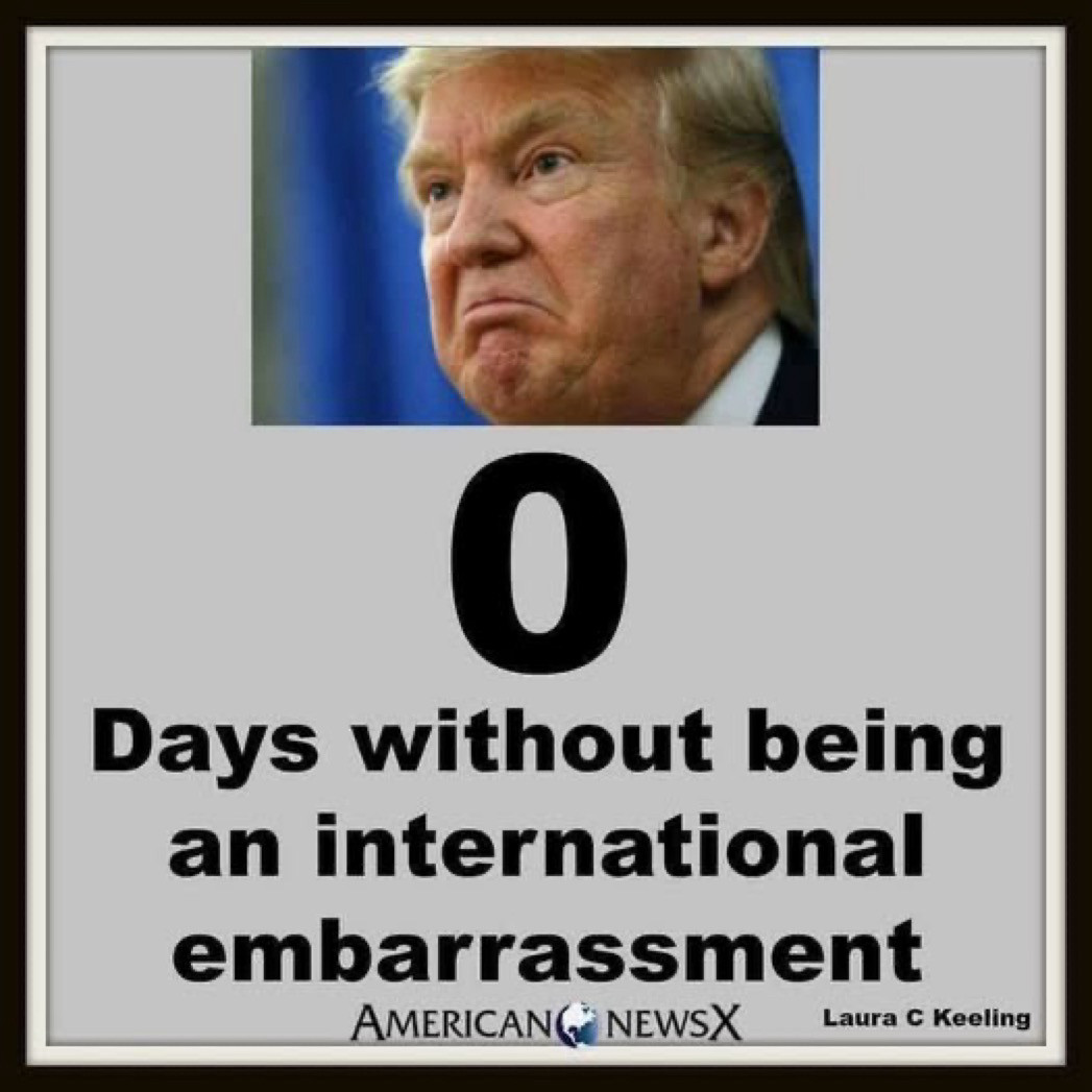 (Parody) Snugbucket tweet media