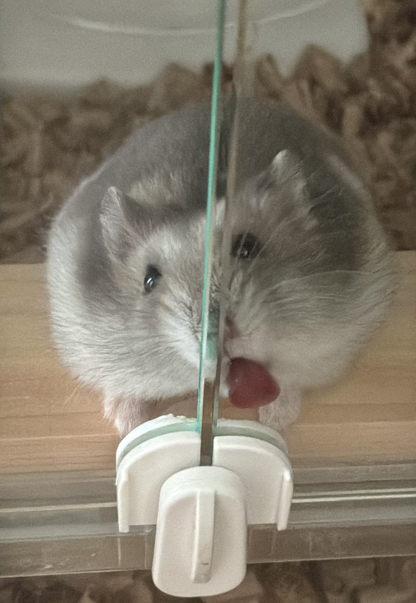 うの (@0000_uno) on Twitter photo 