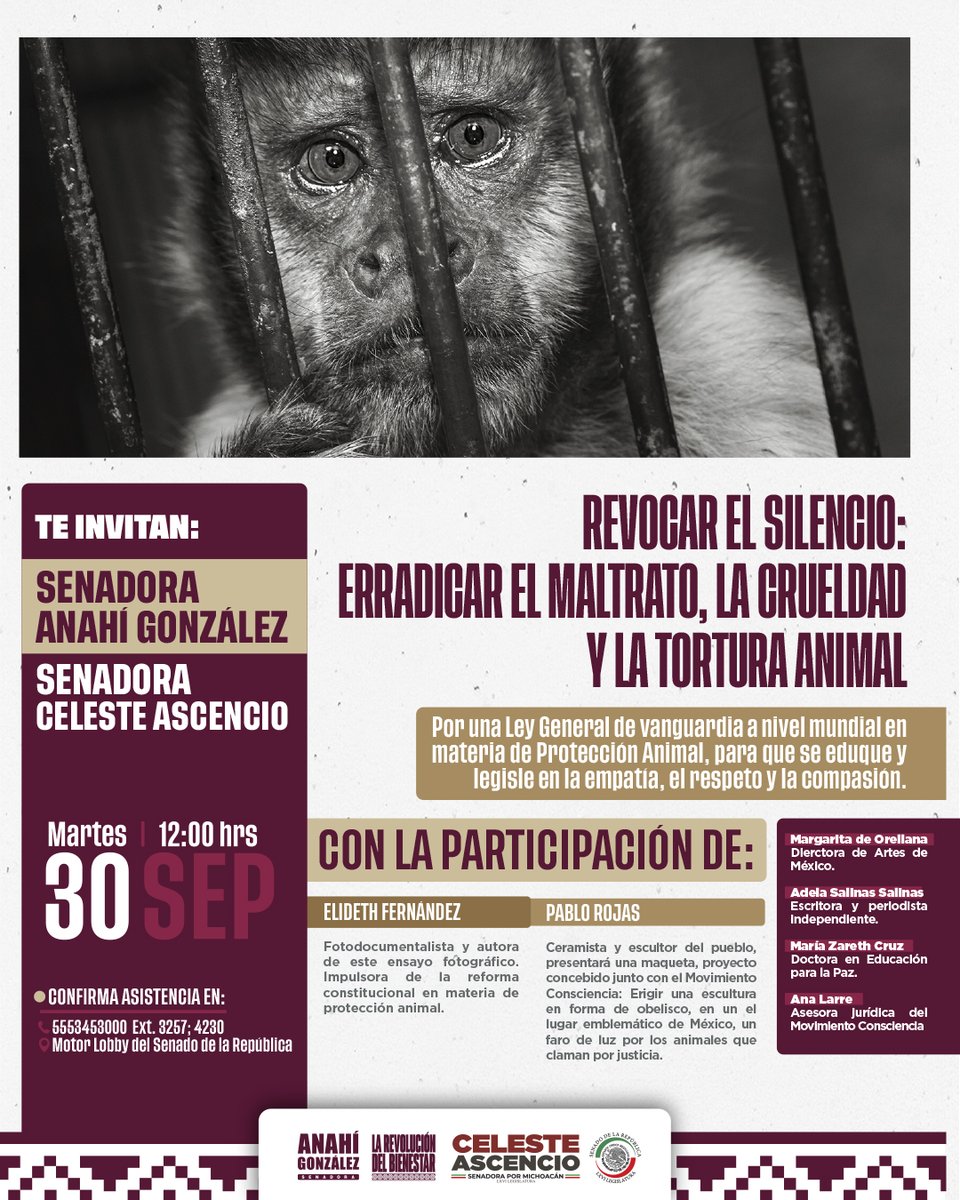 Senado de México (@senadomexicano) on Twitter photo 📌Las senadoras <a href="/AnahiGonzalezQR/">Anahí González</a> y <a href="/CelesteAscenci8/">Celeste Ascencio</a> invitan a la Exposición fotográfica "Revocar el silencio: erradicar el maltrato, la crueldad y la tortura animal".
🗓️ 30 de septiembre.
⌚ 12:00 horas.
📍 Senado de la República 📌Las senadoras <a href="/AnahiGonzalezQR/">Anahí González</a> y <a href="/CelesteAscenci8/">Celeste Ascencio</a> invitan a la Exposición fotográfica "Revocar el silencio: erradicar el maltrato, la crueldad y la tortura animal".
🗓️ 30 de septiembre.
⌚ 12:00 horas.
📍 Senado de la República
