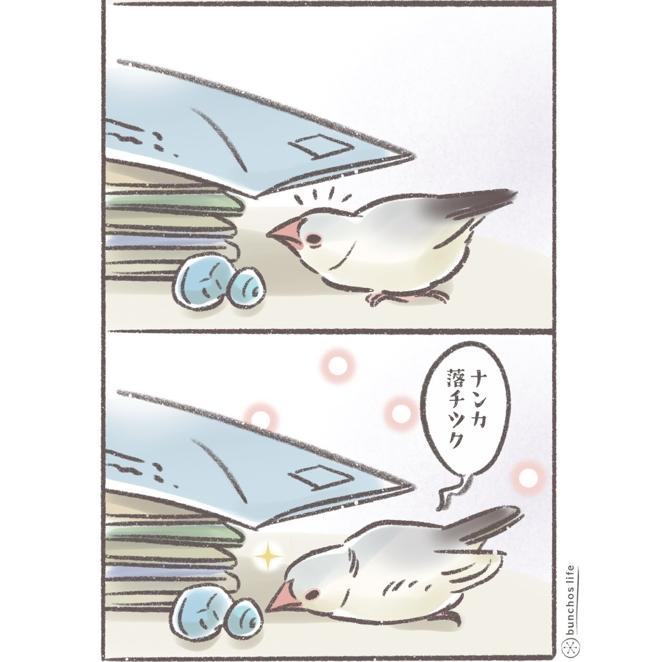 こむぎ🕊️ (@komugi_chan55) / X