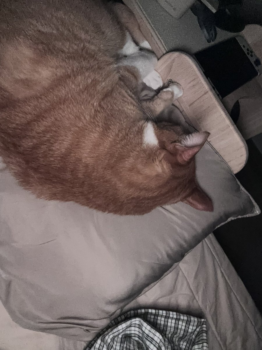 김민국 (@minkookcheese) on Twitter photo 