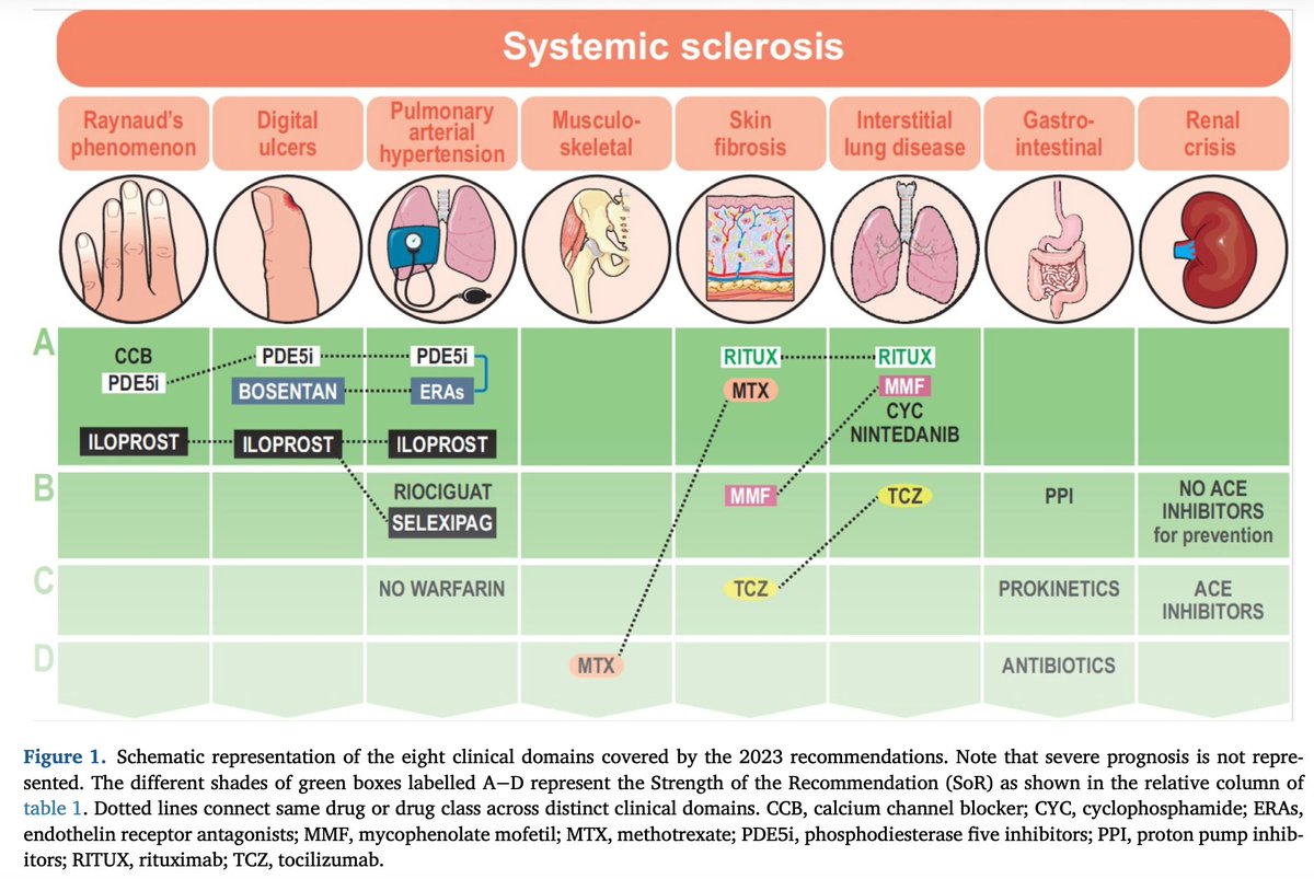 EULAR 2023 SSc Guidelines