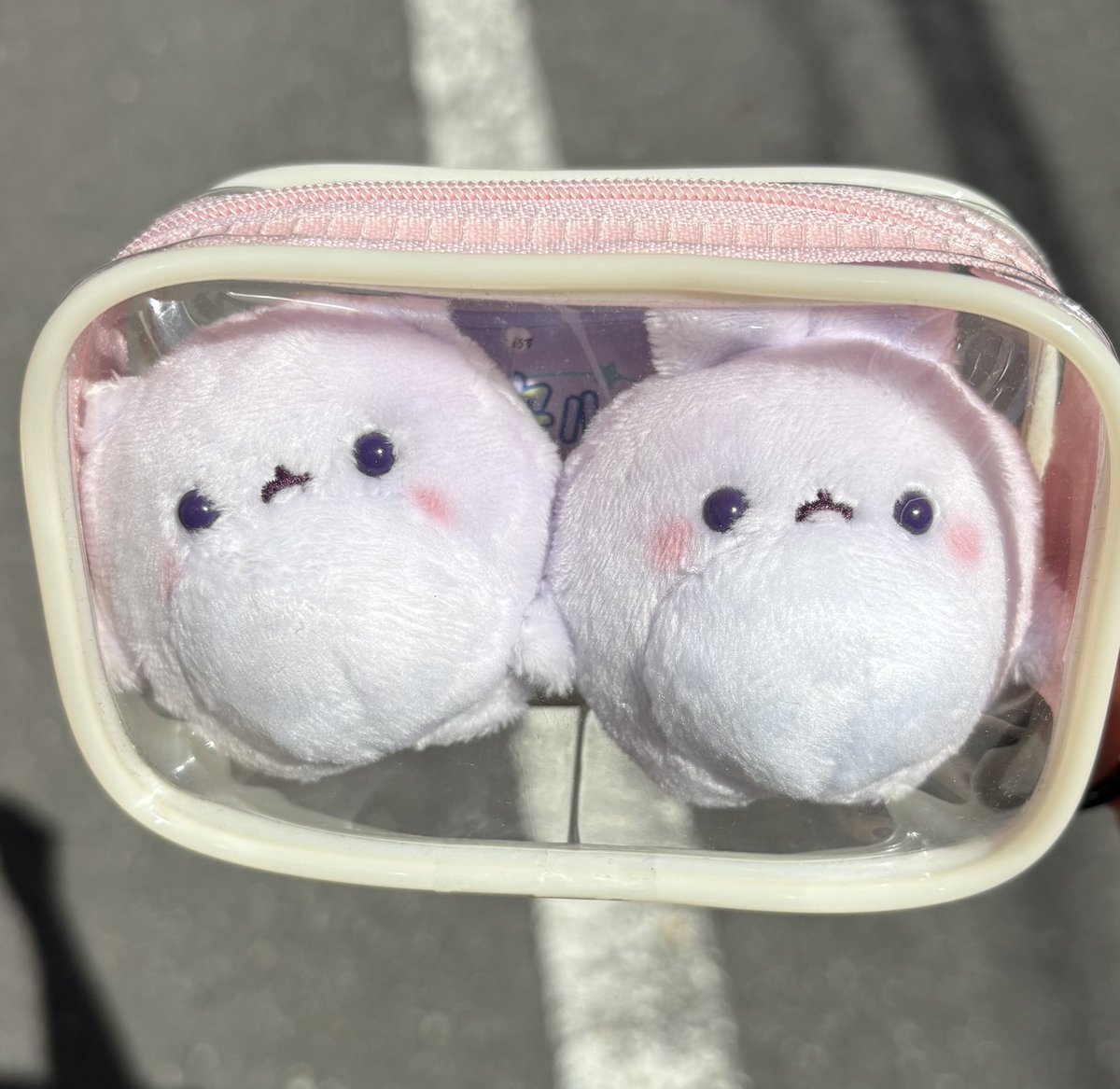 ちょと せまい だいがく いしょいく

 #ゥ星人
 #移住ゥ先