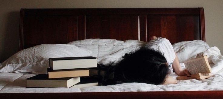 🐾 (@orginalala) on Twitter photo 