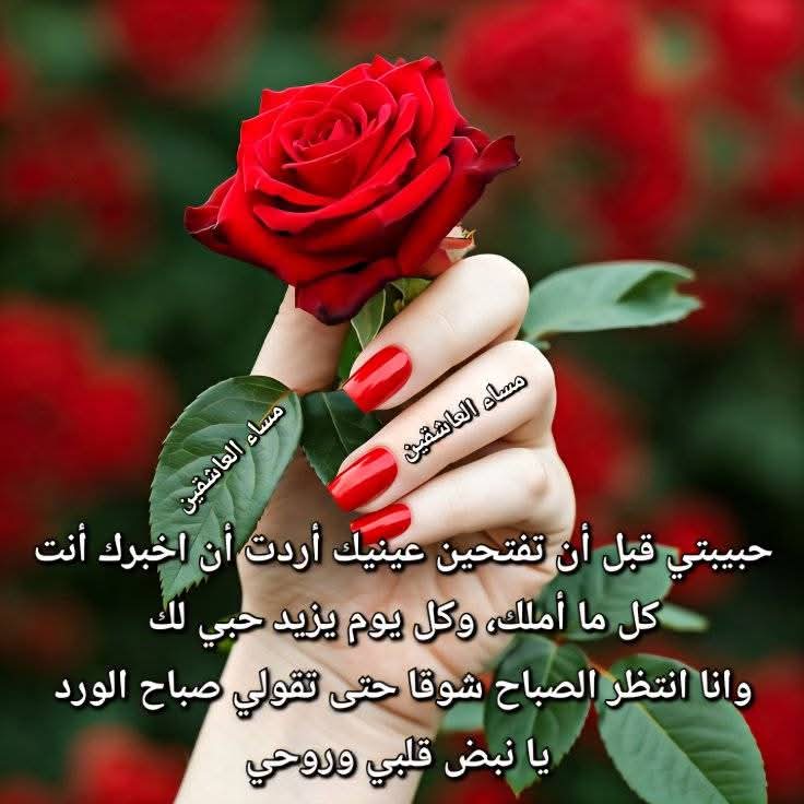 Sabry Soliman (@sabryso42688840) on Twitter photo 