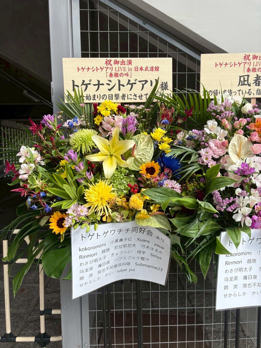 rina_togetoge's tweet photo. https://t.co/OyiQYMikEa