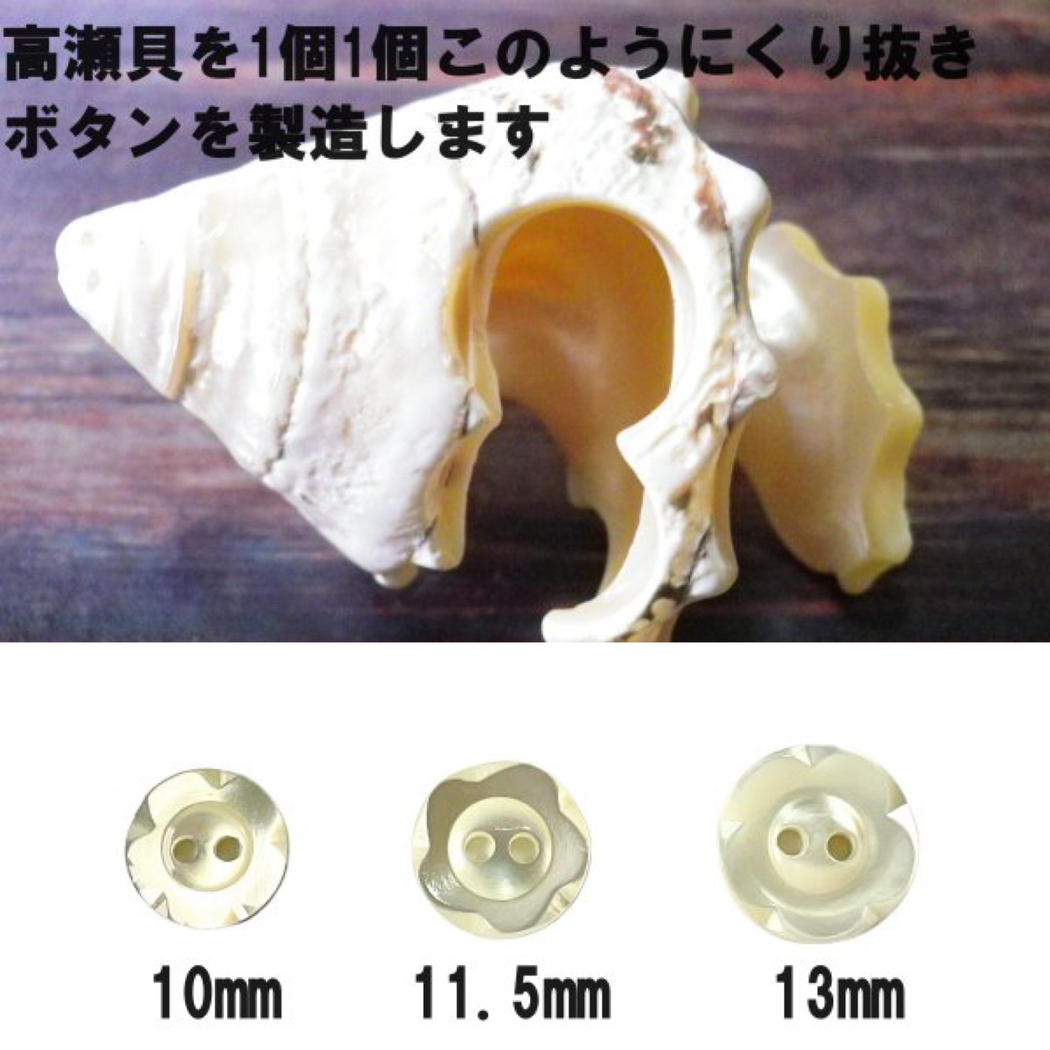 【美品】大ぶり 高瀬貝 タカセガイ 2025年最新】タカセガイの人気アイテム - メルカリ