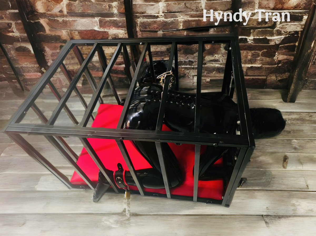 Hyndy Tran tweet media