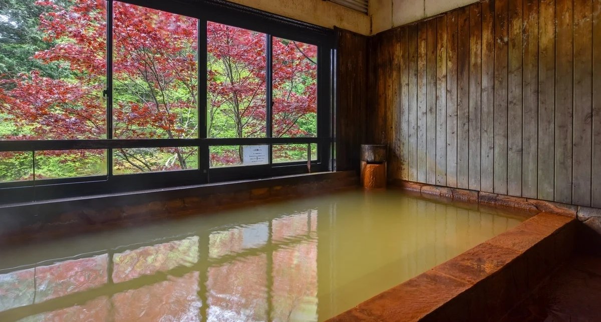 【おすすめ記事】
長野の紅葉と温泉を同時に満喫
絶景を望むおすすめ温泉スポット
👉lnky.jp/9LCY3Ti

大浴場や露天風呂から鮮やかな紅葉を望む日帰り入浴可能な温泉をテーマに、温泉ソムリエが厳選した10カ所をご紹介します♨

#県公式観光サイトGoNAGANO 
#長野県
#温泉