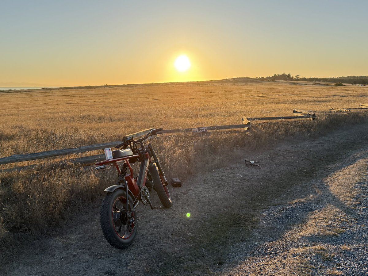 E-bike battery died half way through my trip and I had to peddle home like an animal! But at least I got some good photos.