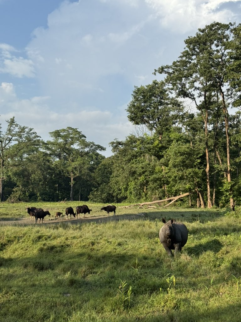 Parveen Kaswan, IFS tweet media