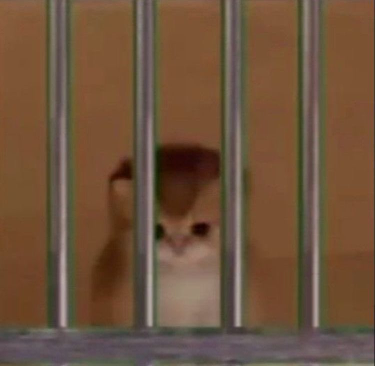 locked up for arson