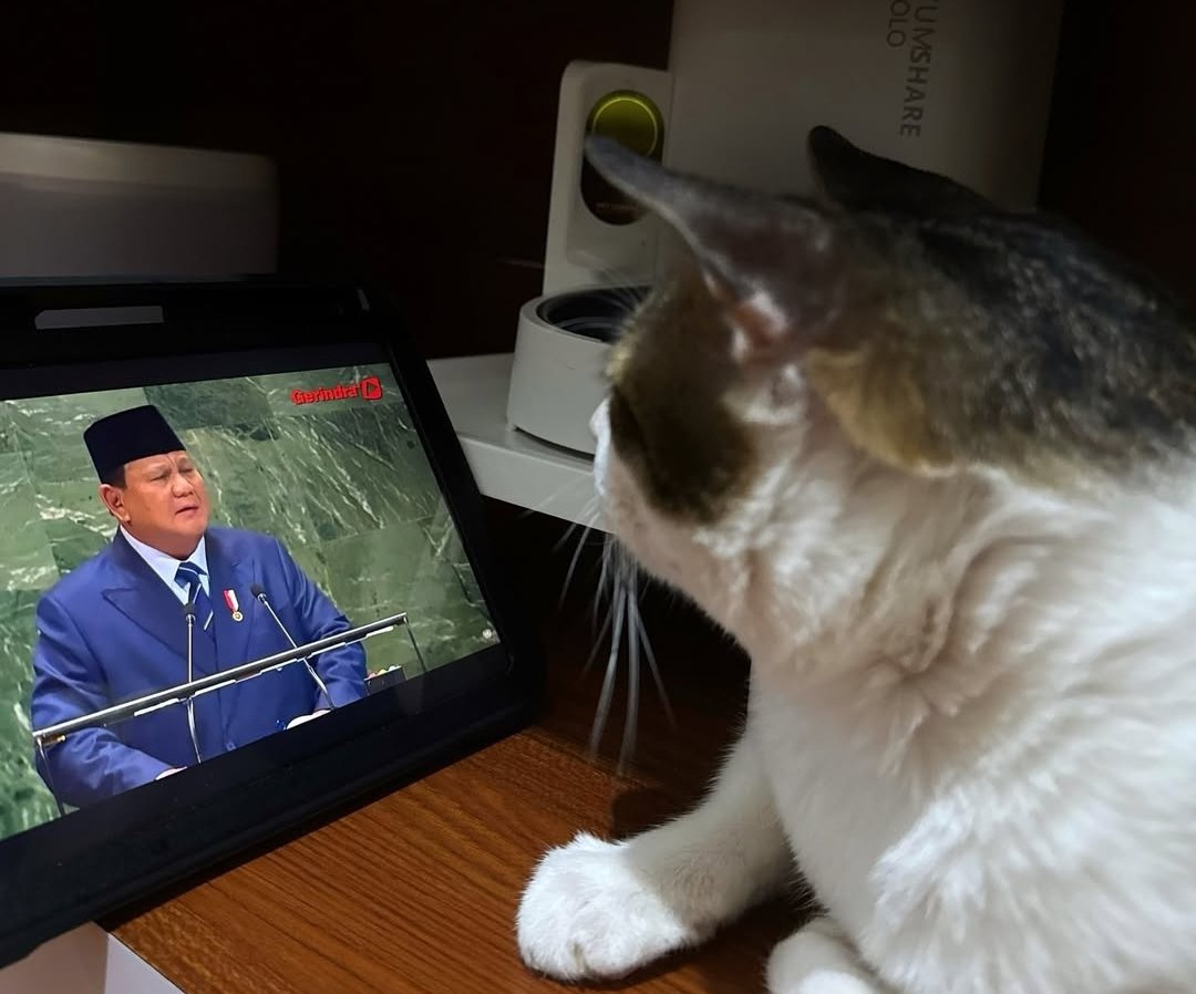 🇨🇦 Nico Carney, Purr Minister of Canada tweet media
