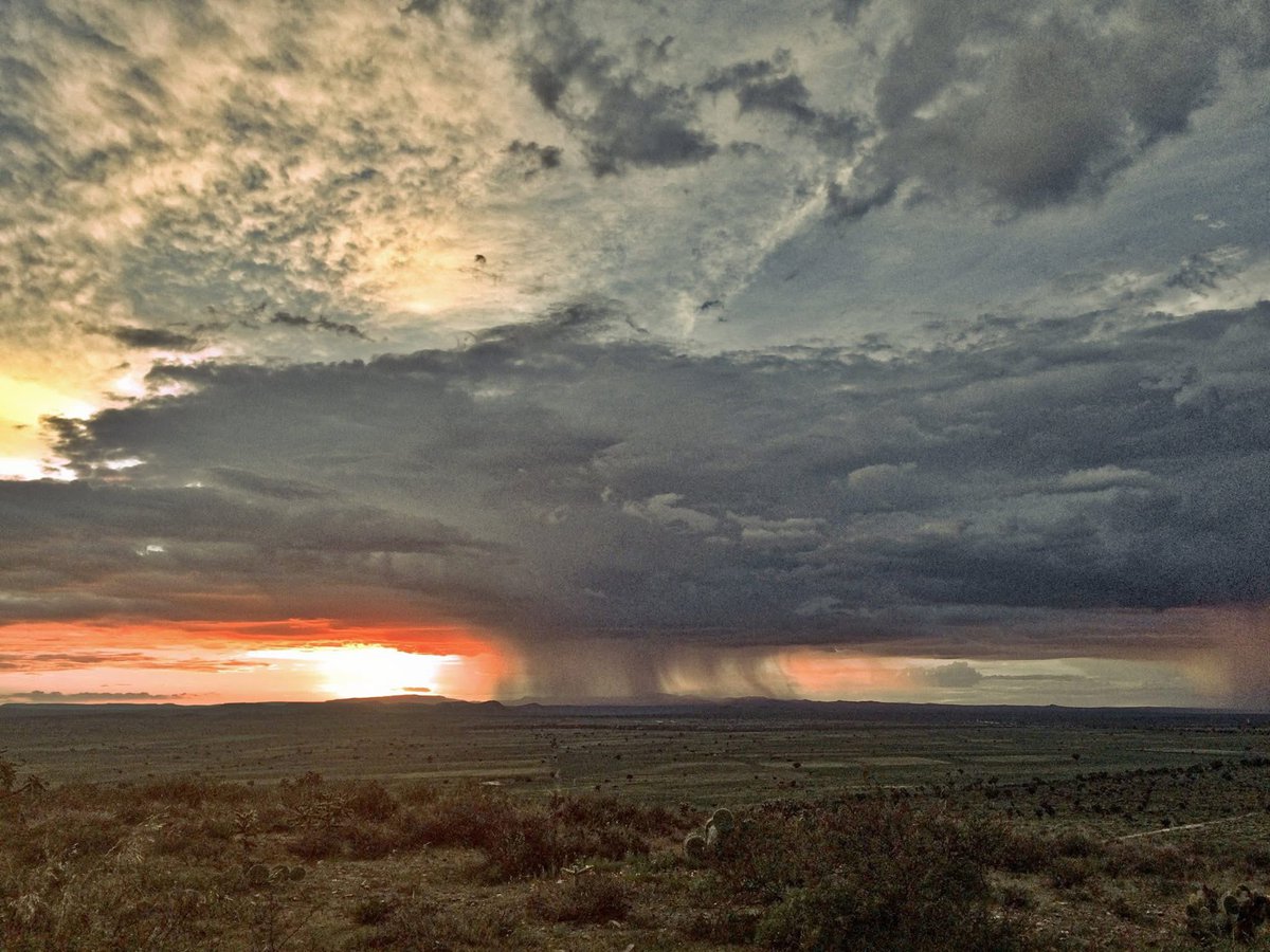 Cuando la muerte te encuentre espero que te encuentre vivo.
Proverbio Africano.