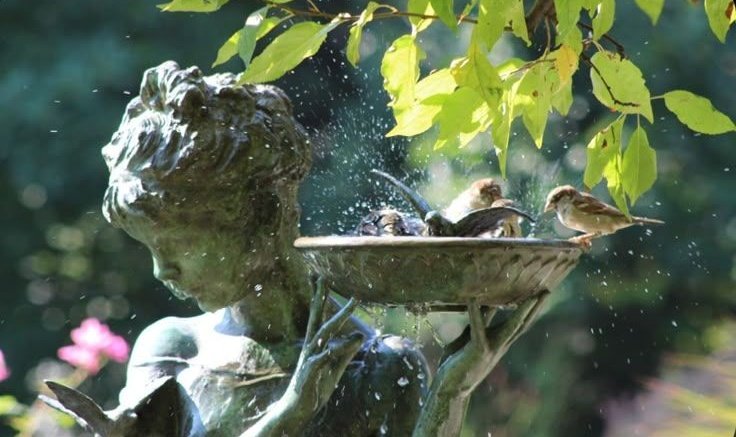 صـباحُ الخـير..!! 
ثم "كن ممتنًا لكل لحظة، لكل نعمة، ولكل موقف مررت به، سواء أسعدك أو علمك درسًا.
الحمد لله دائمًا وأبدًا، فبشكر النعم تدوم، وبالرضا تحل البركة، وبالقلب الشاكر تهون الصعاب."
#صباح_الخير 🌸🍃