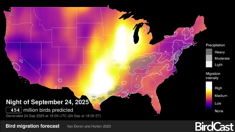 Thanks to our cold front, 454 million birds are expected to be on the move tonight. 

It's migration season! #okwx #txwx